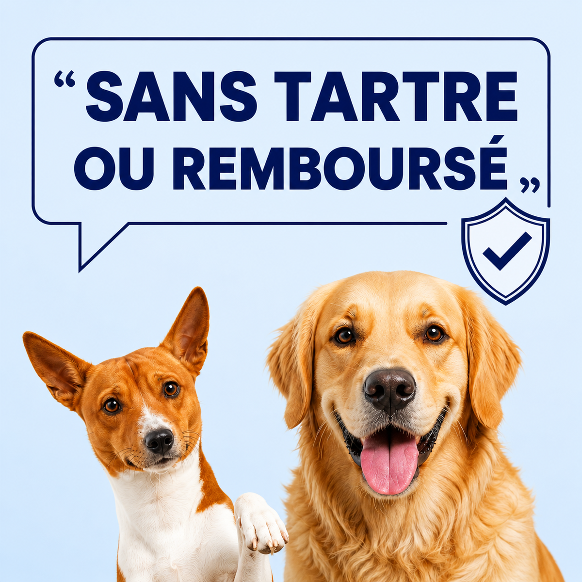 Lingettes dentaires Evlya pour animaux