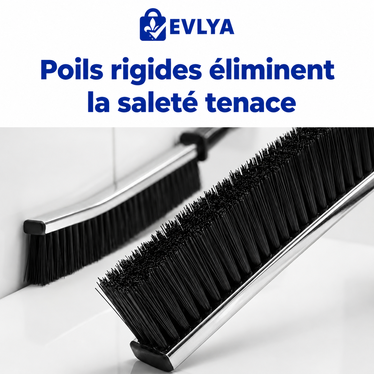Brosse InterClean-Evlya