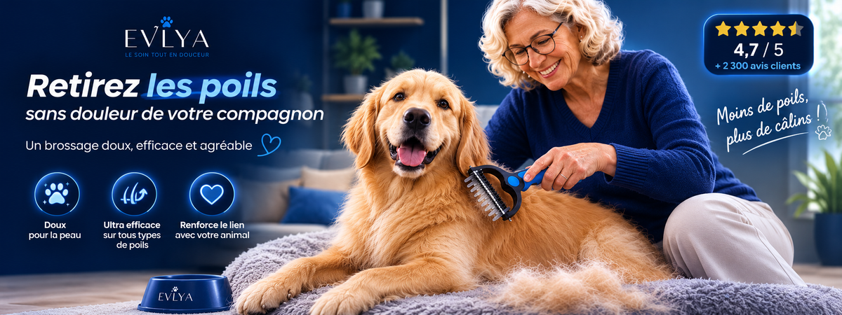 Femme brossant un chien Golden Retriever