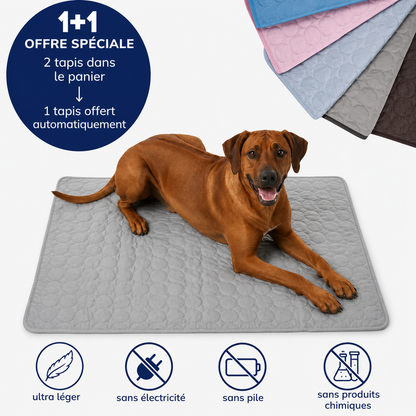 Tapis rafraîchissant pour l'été | OFFRE 1+1