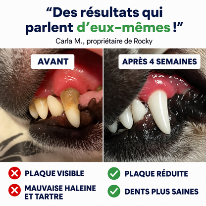 Lingettes  dentaires Evlya  pour animaux