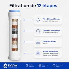 Pommeau de douche Evlya