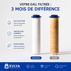 Pommeau de douche Evlya