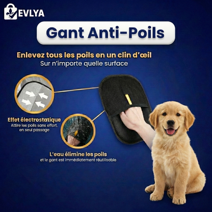 Gant Anti-Poils
