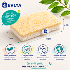Eponge écologique